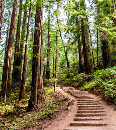 Don’t Wait for New Technology to Start Making Improvements at Your Nonprofit