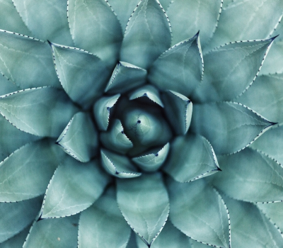 Video: Data Cybersecurity for Nonprofits