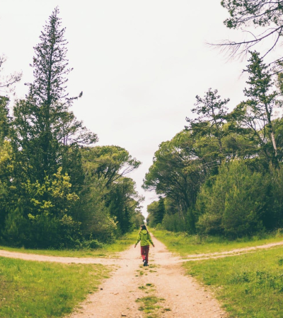 10 Tips for Selecting Nonprofit Software, Systems, or Platforms