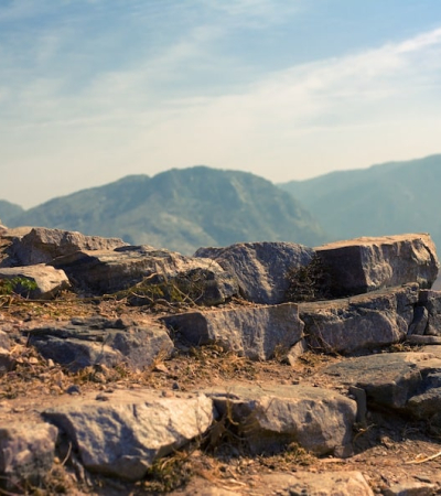 ERP for the growing nonprofit